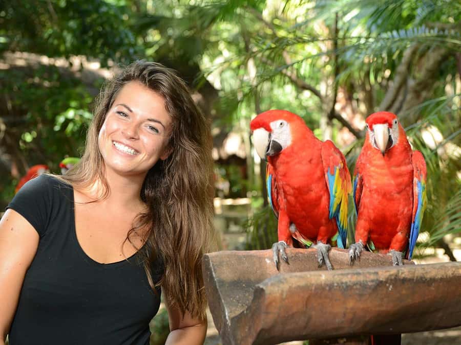 From Riviera Maya: Complete Combo to Xcaret Park! - Beaches, children’s areas, and quiet breaks