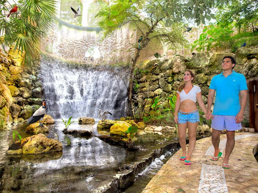 From Riviera Maya: Complete Combo to Xcaret Park! - Food, buffet choices, and the real cost