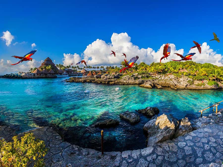 From Riviera Maya: Complete Combo to Xcaret Park! - The underground rivers and cenotes