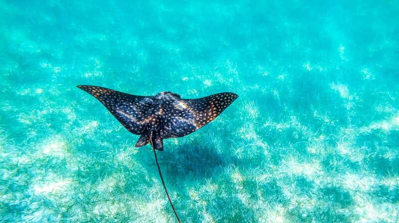 From Riviera Maya: Sian Ka'an Half Day Tour w/ Lunch - Who should book this Sian Ka’an outing?