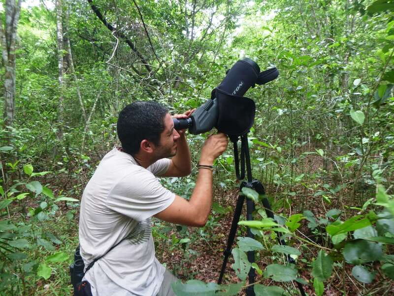 From Riviera Maya : Sian Ka'an Muyil Birdwatching with Guide - Why Muyil is such a good birdwatching base