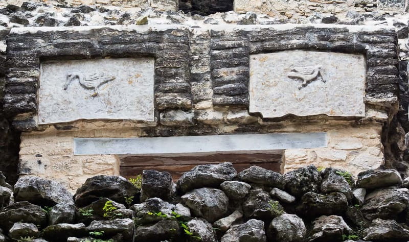 From Riviera Maya : Sian Ka'an Muyil Birdwatching with Guide - Walking the Muyil archaeological site