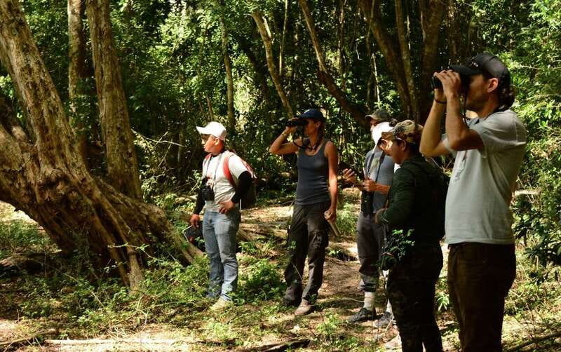 From Riviera Maya : Sian Ka'an Muyil Birdwatching with Guide - The optional lagoon and canal float