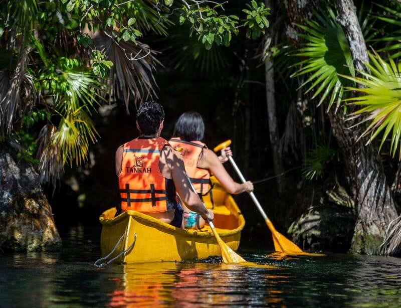 From Riviera Maya : Tulum Ruins, Cenotes & Jungle Adventure - What the cenotes add to the experience