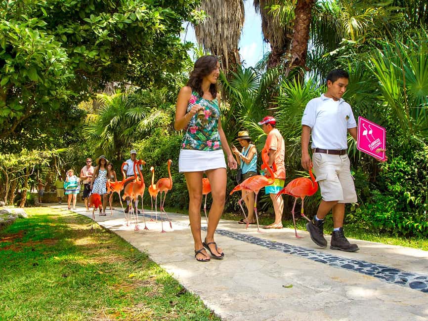 From Riviera Maya: Xcaret Park All-Inclusive - Key points to know before booking