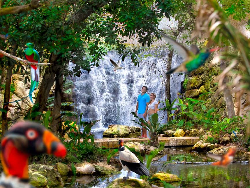 From Riviera Maya: Xcaret Park All-Inclusive - Nature stops worth fitting in