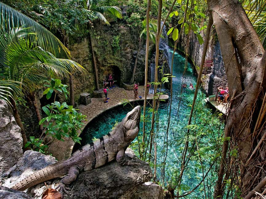 From Riviera Maya: Xcaret Park All-Inclusive - Who will enjoy Xcaret most?