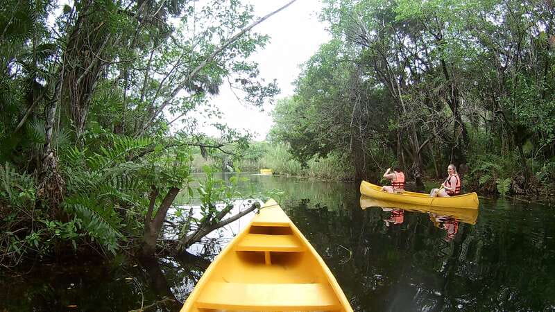 From Tulum: Four-Cenote Adventure - Large Cenote Naval adds two long zip lines and a canoe