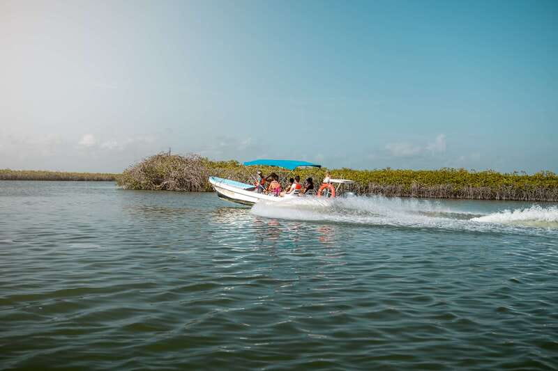 From Tulum: Sian Kaan Boat Trip Adventure with Lunch - Who will enjoy this trip most?