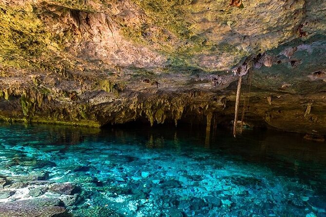 Full Day Adventure: Horses , ATV, Ziplines & Cenote w/Lunch - What the $125 price really covers