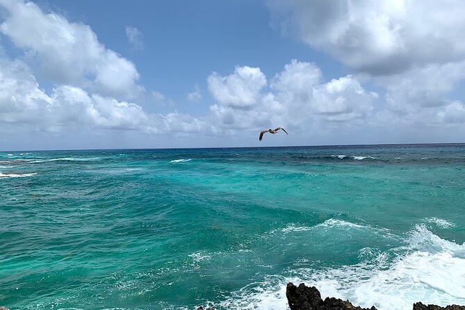 Full-Day Catamaran Cozumel Tour with Sky Snorkeling - Catamaran sailing toward Palancar Reef