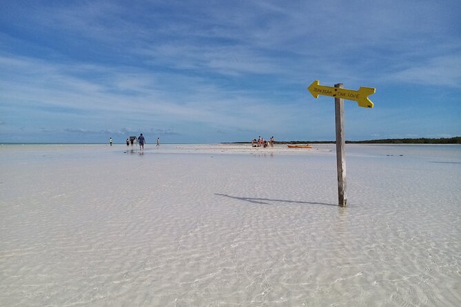 Full Day Excursion to the Best of Holbox From Riviera Maya - Isla de la Pasión and the bird life
