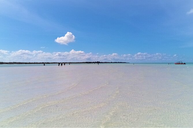 Full Day Excursion to the Best of Holbox From Riviera Maya - Punta Mosquito brings the best swim time
