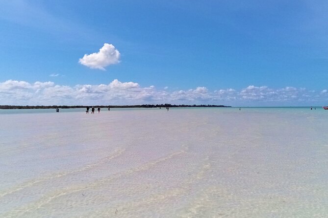 Full Day Excursion to the Best of Holbox From Riviera Maya - The boat ride is part of the attraction