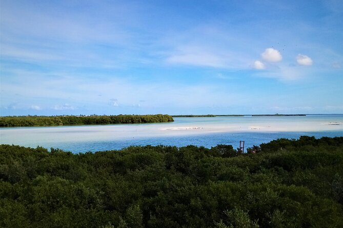 Full Day Excursion to the Best of Holbox From Riviera Maya - Guides and the feel of the service