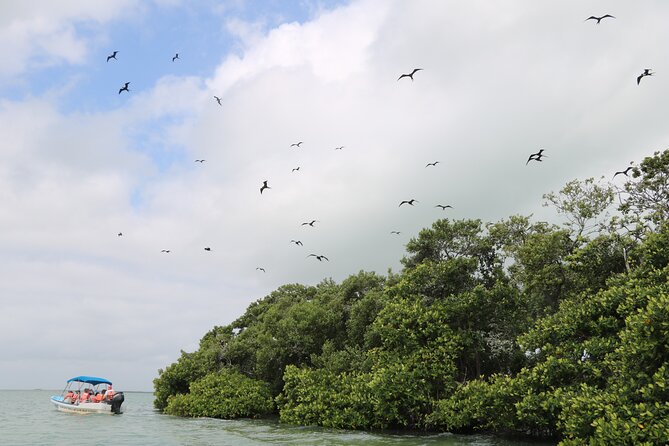 Full Day Guided Tour to Sian Ka'an (short way) - Lunch in a working fishing village