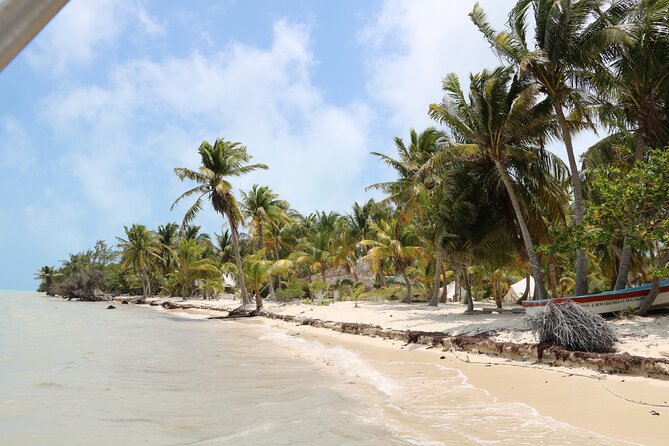 Full Day Guided Tour to Sian Ka'an (short way) - Alex and Carlos, and the small-group format