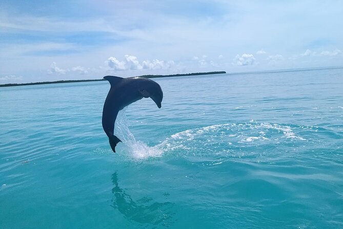 Full Day Guided Tour to Sian Ka'an (short way) - Who should book this Sian Ka’an day