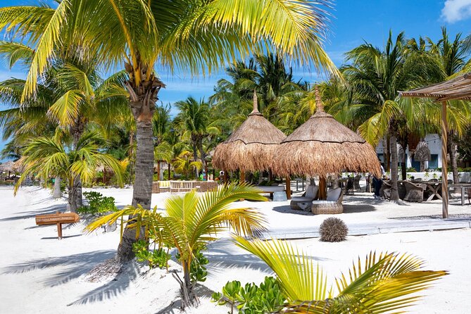 Full-Day Holbox Island Boat and Buggy Tour with Lunch - The return ferry is practical, not scenic