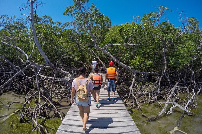 Full Day Holbox Island Tour from Playa del Carmen with Lunch - Three hours on Holbox Island