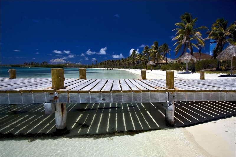 Full Day Nature Expedition to Contoy Island and Isla Mujeres - Contoy Island gives this day its real character