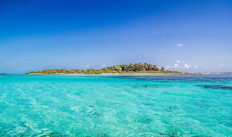 Full Day Nature Expedition to Contoy Island and Isla Mujeres - Three hours on protected Contoy Island