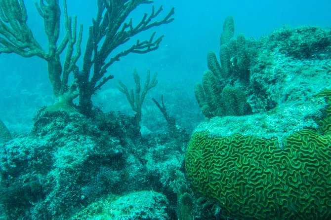 Full-Day Sailing Trip to Mujeres Island from Playa del Carmen - Lunch at the private beach club