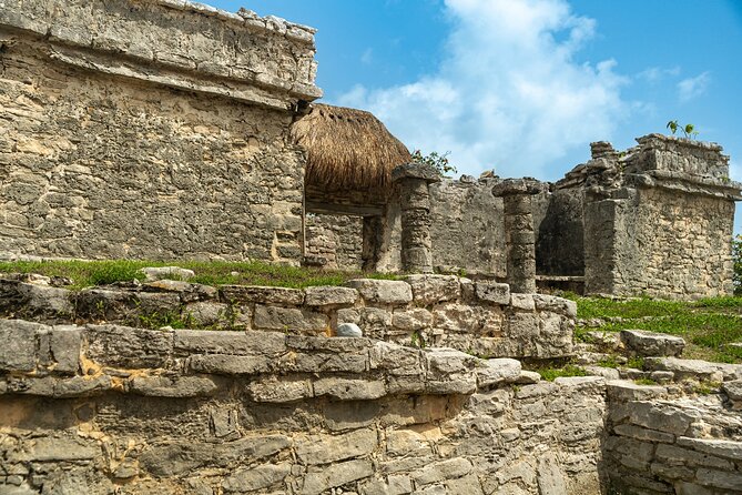 Full Day Tulum Ruins Tour Cenote and Swimming with Sea Turtles - What the guides and driver add to the day