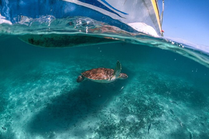 Full Day Tulum Ruins Tour Cenote and Swimming with Sea Turtles - Packing for heat, caves, and saltwater