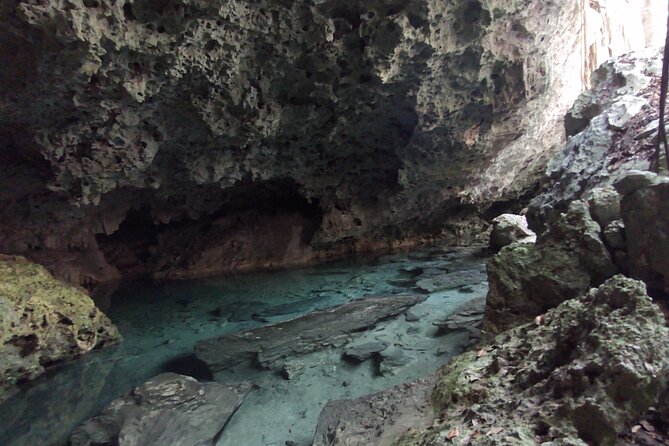 Full-dayTurtle Adventure: ATV, Zipline, Cenote & Turtle Swim - What the $130 price really covers