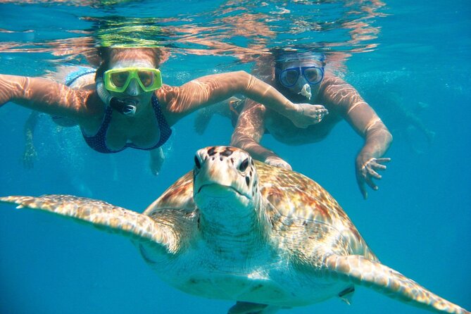 Full-dayTurtle Adventure: ATV, Zipline, Cenote & Turtle Swim - Three ziplines and a wall rappel