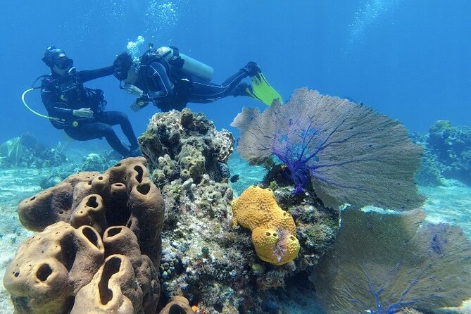 Fun Dive Machine in Playa del Carmen or Cozumel-For Certificates - Cozumel: a bigger day with clearer water
