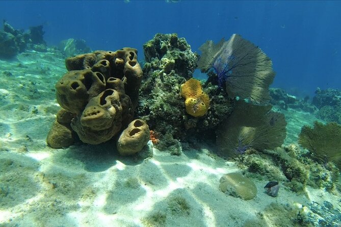 Fun Dive Machine in Playa del Carmen or Cozumel-For Certificates - The people in the water with you