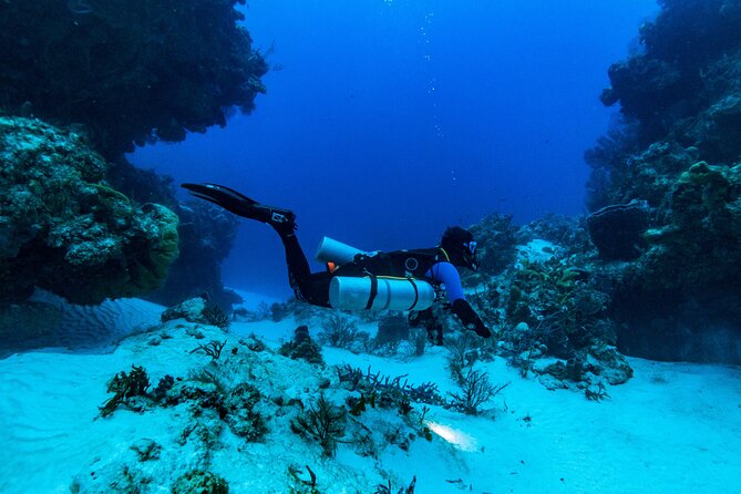 Fun Dive Machine in Playa del Carmen or Cozumel-For Certificates - Is $251 a fair price?