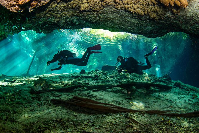Go for 2 dives in cenote Dos ojos for certified divers - The ride to Dos Ojos is short, but the access takes effort