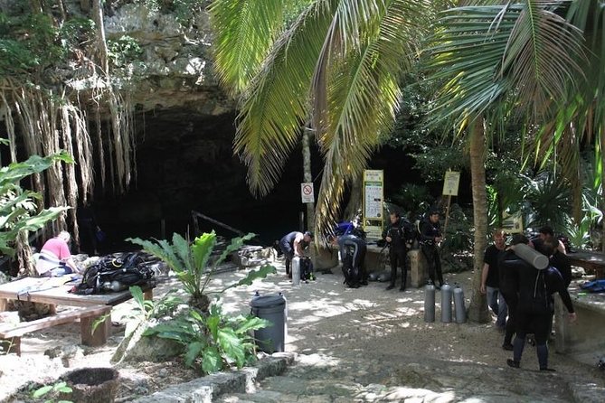 Go for 2 dives in cenote Dos ojos for certified divers - The Bat Cave adds darkness and a change of mood