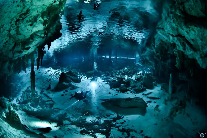 Go for 2 dives in cenote Dos ojos for certified divers - Who should book this Dos Ojos outing