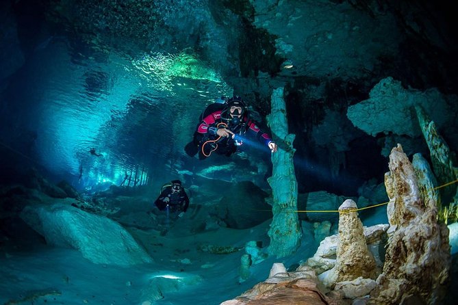 Go for 2 dives in cenote Dos ojos for certified divers - La Calypso at 8:30 am gets the day organized