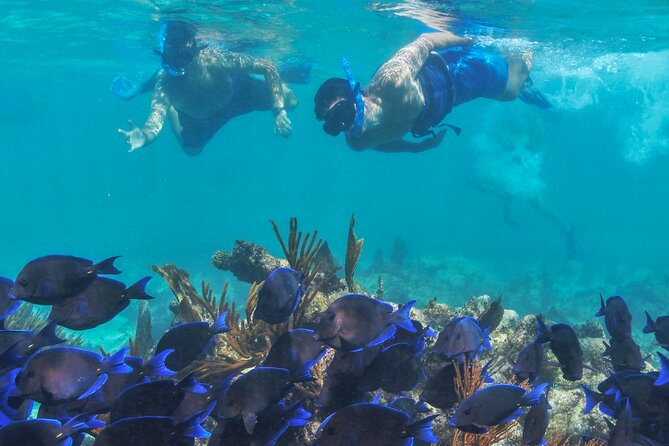 Half-Day Luxury Sailing Experience in Tulum with Open Bar - Paddleboards and time to relax