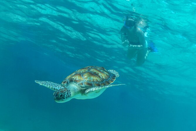 Half-Day Luxury Sailing Experience in Tulum with Open Bar - The crew can make or break the day