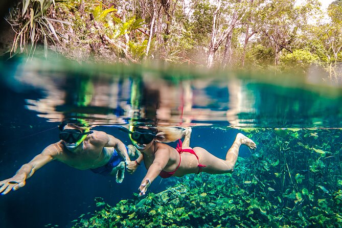 Half Day Private Snorkeling with Turtles and Majestic Cenotes - Pickup across the Riviera Maya