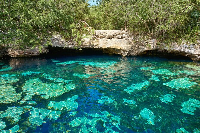 Half Day Private Snorkeling with Turtles and Majestic Cenotes - The quiet change from sea to cenote