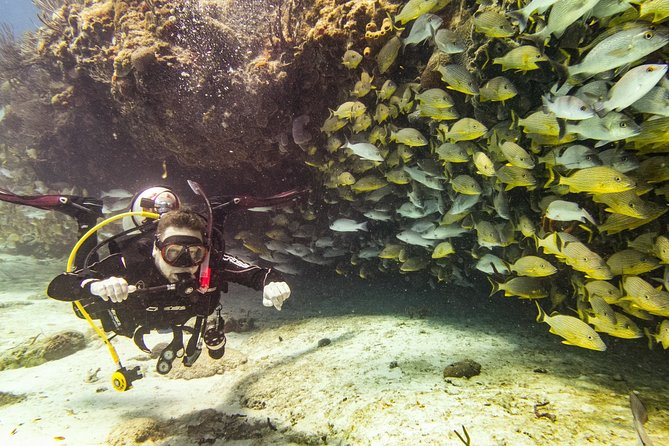 Half-Day Scuba Diving in Playa del Carmen for Small-Group - What happens at Tank-Ha Dive Center