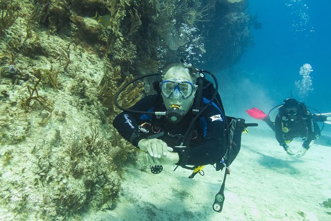 Half-Day Scuba Diving in Playa del Carmen for Small-Group - Getting to the boat, and what to protect