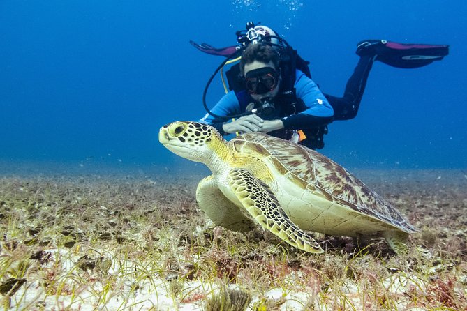 Half-Day Scuba Diving in Playa del Carmen for Small-Group - Equipment, the $100 price, and the extra $18