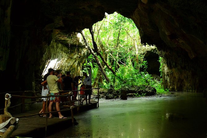 Half-Day Sea Turtle and Cenote Snorkeling Tour from Cancun & Riviera Maya - Two Mexican Waters in One Five-Hour Outing