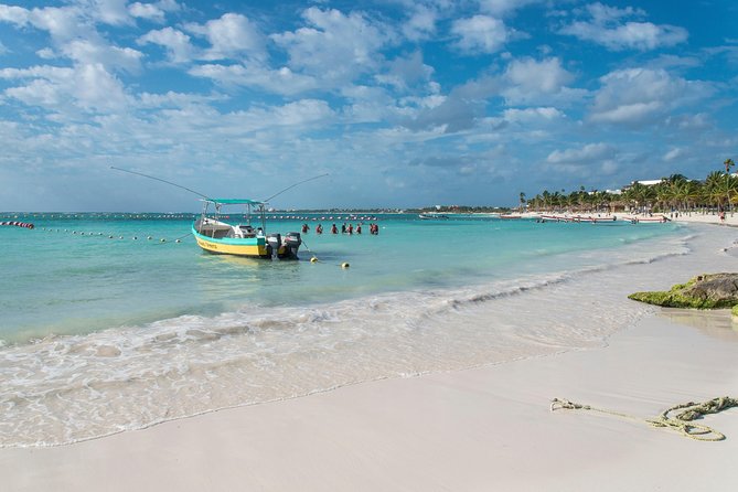 Half-Day Sea Turtle and Cenote Snorkeling Tour from Cancun & Riviera Maya - Why the Early Start Is Worth the Alarm