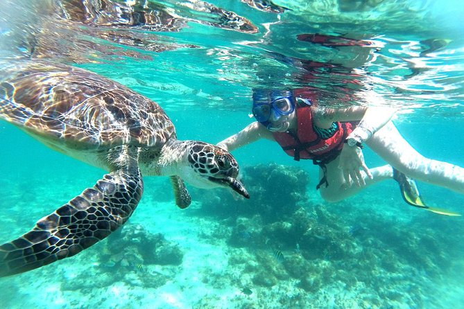 Half-Day Sea Turtle and Cenote Snorkeling Tour from Cancun & Riviera Maya - Parque de Cenotes Yax-Muul: Caves, Rocks, and Clear Water