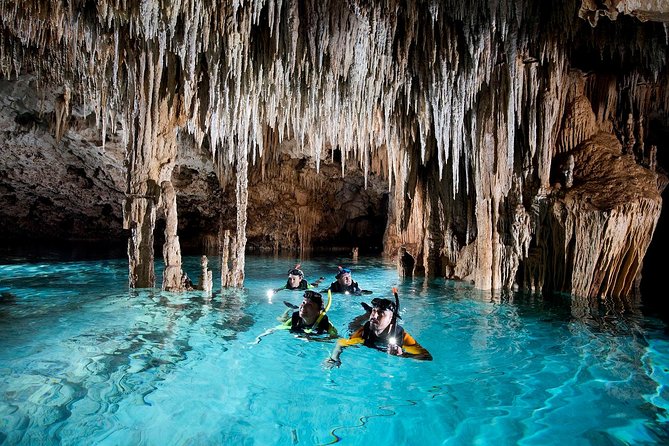 Half-Day Sea Turtle and Cenote Snorkeling Tour from Cancun & Riviera Maya - Guides, Safety, and the Human Side of the Tour