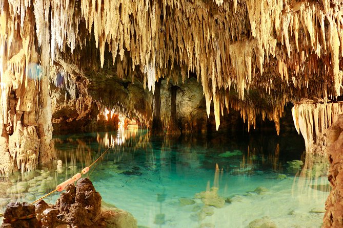 Half-Day Sea Turtle and Cenote Snorkeling Tour from Cancun & Riviera Maya - Should You Book the Akumal and Cenote Tour?